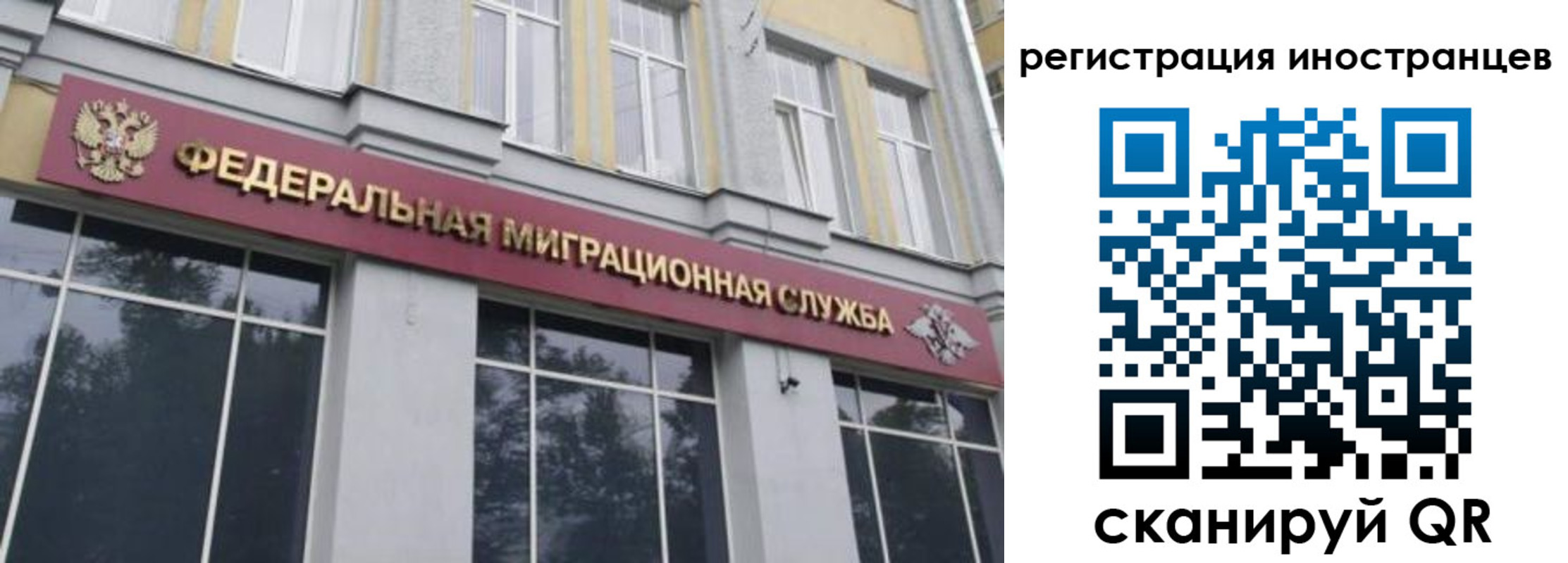 пропишу в квартире в Липецке